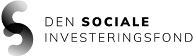 DSI_logo